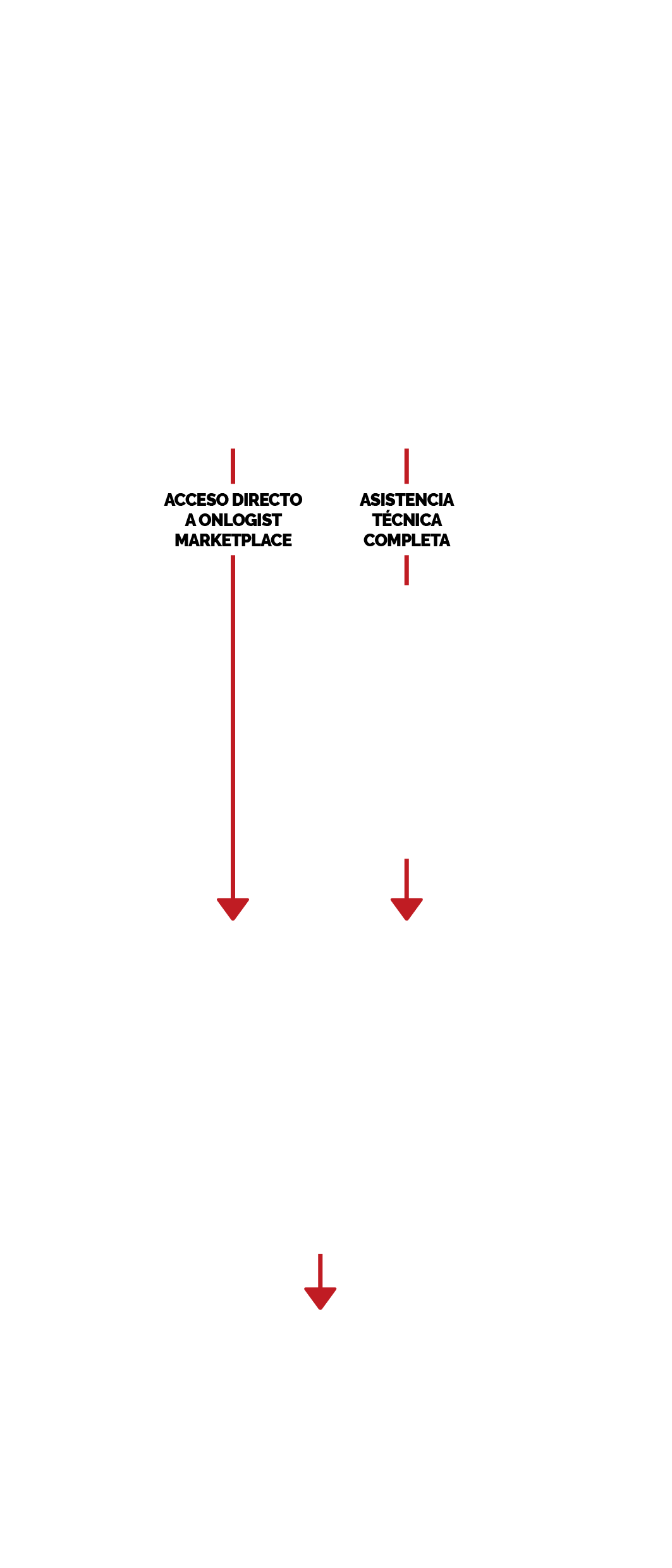 Illustration background